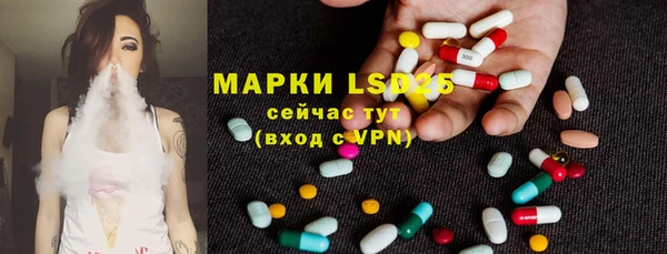 стафф Нефтегорск