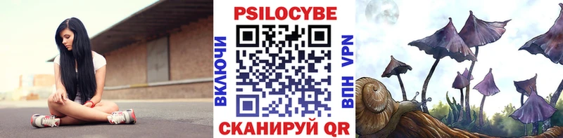 Псилоцибиновые грибы Cubensis  Королёв 